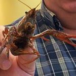 Profile Picture of Robert Simonds (@madddogbob) on Instagram