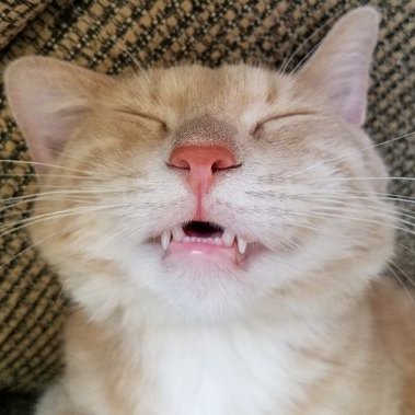 Profile Picture of Marshall Alden (@alden_marshall) on Twitter