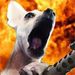 Profile Picture of Christopher Veatch (@veaotch) on Pinterest