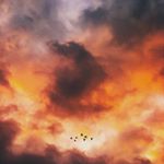 Profile Picture of Bryan Shine (@shinebryan) on Instagram