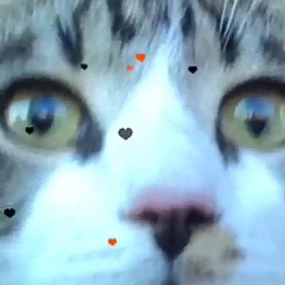 Profile Picture of Jay Ruggiero (@ruggiero_jay) on Twitter