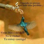 Profile Picture of Fausto Esquivel (@faustoesquivel) on Instagram