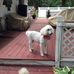 Profile Picture of Nancy Perkovich (@nancy.perkovich.7) on Facebook