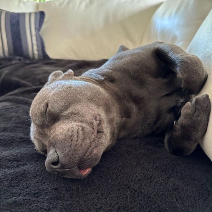 Profile Picture of Kyle Merker (@kylemerker_1104) on Tiktok