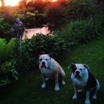 Profile Picture of Charles Stomphorst (@charlesstomphorst) on Instagram