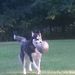 Profile Picture of Craig Mikullitz (@craigmikullitz) on Pinterest