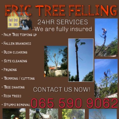 Profile Picture of Erik Tree Feller (@tree_erik) on Twitter