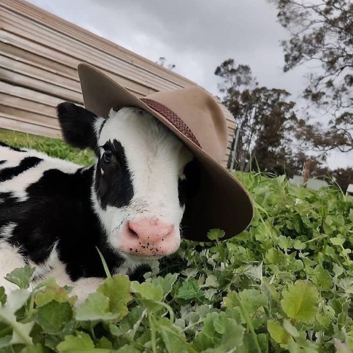 Profile Picture of Benjamin Walker (@benjamin.walker15) on Tiktok