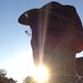 Profile Picture of Roland Paul (@rolandbpaul3) on Pinterest