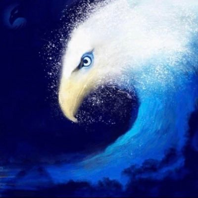 Profile Picture of Nancy Harden (@NancyHa59171420) on Twitter