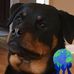 Profile Picture of Susan Bible (@susan.bible.9) on Facebook