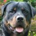 Profile Picture of Richard Gromer (@richard.gromer.9) on Facebook