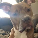 Profile Picture of Avery Flaugher (@flaugheravery) on Instagram