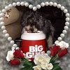 Profile Picture of James Robblee (@@jamesrobblee) on Tiktok
