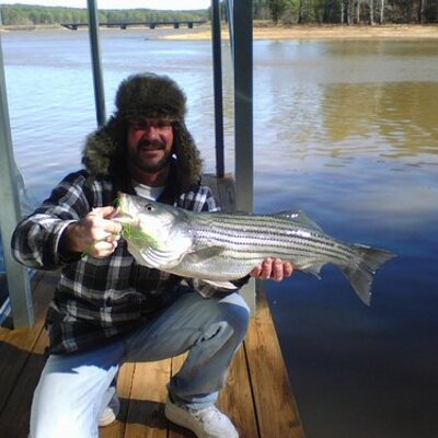 Profile Picture of Bill Quattlebaum (@billqua50) on Twitter