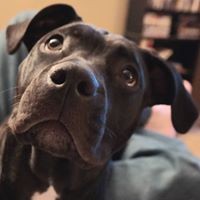 Profile Picture of Tara Vincent (@tara-vincent-2) on Quora