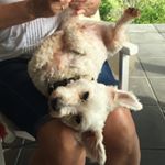 Brett Ritchie - Instagram Profile Picture of Brett Ritchie (@brettcritchie) on Instagram