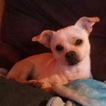 Profile Picture of mackenzie (@mackenzie.jackson2018) on Instagram