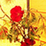 Profile Picture of Valeria Carrillo (@√ąĿ عяīą ♫~) on Flickr