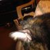 Profile Picture of Shannon Sampley (@shannon.sampley.944) on Facebook