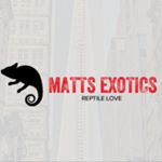 Profile Picture of Matts Exotics 🌐 Matthew Allor (@matts.exotics) on Instagram