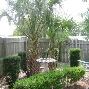 Profile Picture of Kelly Grey (@345905442) on Myspace