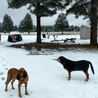 Profile Picture of Brent Utley (@brent-utley) on Quora