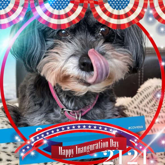 Profile Picture of Betsy Olix (@momofmike) on Poshmark