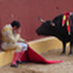 Profile Picture of Matthew Giraldi (@mattg222) on Flickr