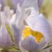Profile Picture of Debbie Simonds (@debbie.simonds.9) on Facebook