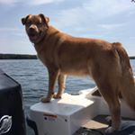 Profile Picture of Val Kloosterman (@valex2017) on Instagram