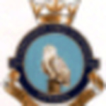 Profile Picture of 706 Snowy Owl Photo Gallery (@706 snowy owl photo gallery) on Flickr