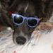 Profile Picture of Alan Battershell (@alanbattershell) on Pinterest