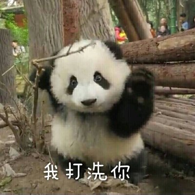 Profile Picture of WangZhen (@WangZhen0212) on Twitter