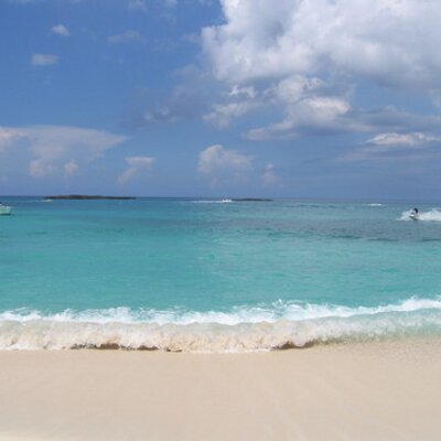 Profile Picture of Mike Fung-A-Wing (@swimdawg9600) on Twitter