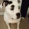 Profile Picture of Alex Kemsley (@alex.kemsley.16) on Facebook