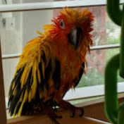 Profile Picture of Joel Durham Jr (@joeldurhamjr6807) on Youtube