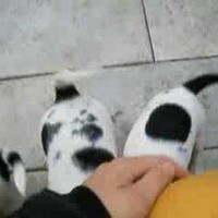 Annet Rijneveld - Quora Profile Picture of Annet Rijneveld (@annet-rijneveld) on Quora