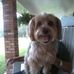 Profile Picture of Laurie Knapp (@laurie.knapp.9484) on Facebook