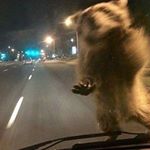 Profile Picture of Graham Mitchell (@graham_mitchell_) on Instagram