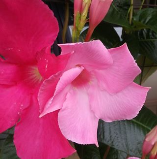 Profile Picture of Nancy McClendon (@nancy.mcclendon.50) on Facebook