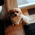 Profile Picture of brentton (@brentton_james_cronk) on Instagram