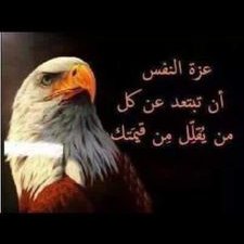 Profile Picture of Anthony Sakr (@anthonysakr4) on Twitter