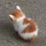 Profile Picture of Jacob Beebe (@@jacobbeebe8) on Tiktok