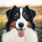 Profile Picture of charles d (@charlesdeemer1985) on Instagram