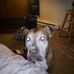 Profile Picture of Curtis Thames (@curtis.thames.376) on Facebook