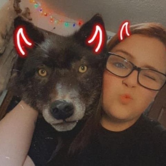 Profile Picture of Joshua Amey (@that_arctic_dog) on Poshmark
