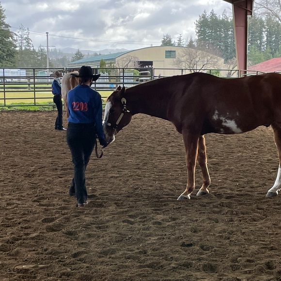 Profile Picture of Leanne Blankenship (@lkblankenship) on Poshmark