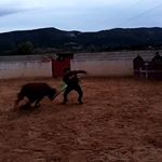 Profile Picture of David Sierra Catala (@el_cata_03) on Instagram