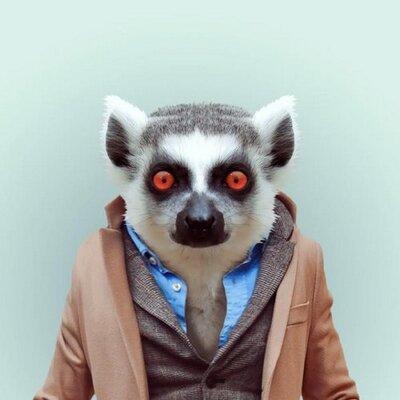 Profile Picture of Anton-Louis Olivier (@antonlouiso) on Twitter